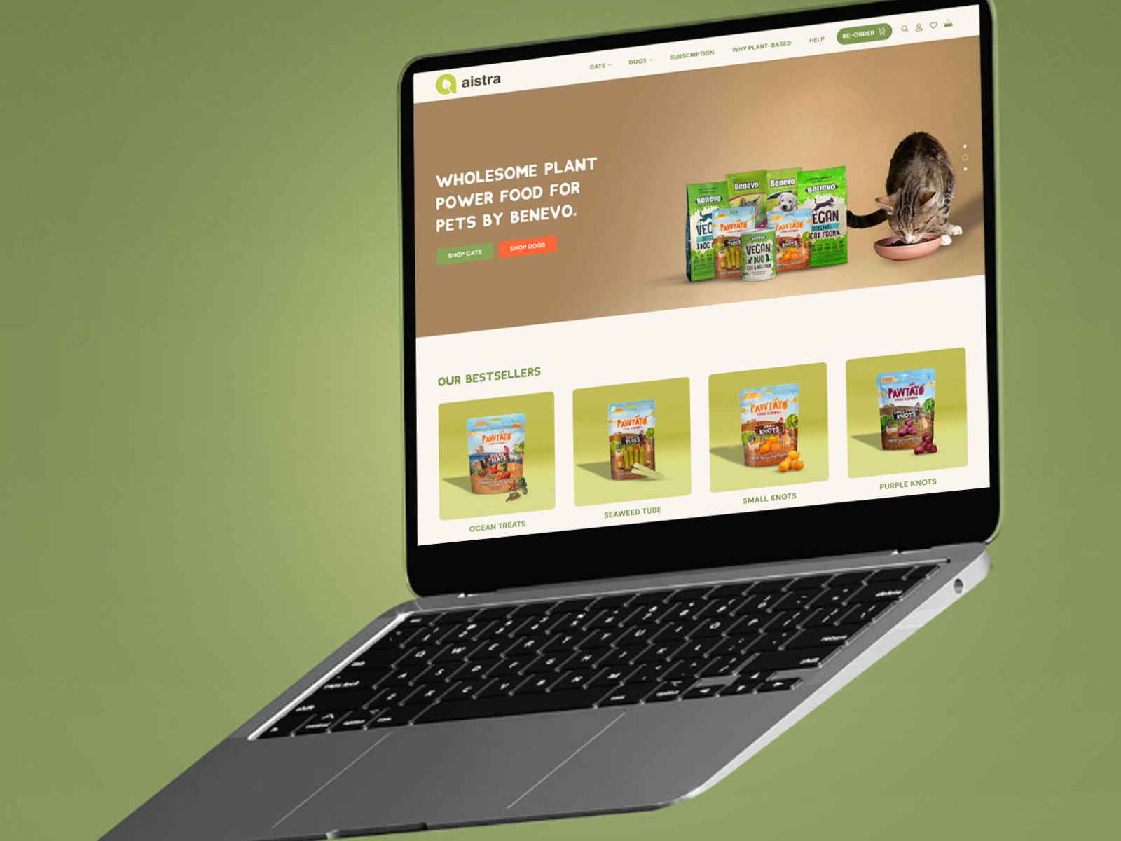 Emerge Digital agency's portfolio